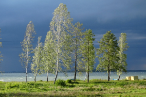 Шацькі озера